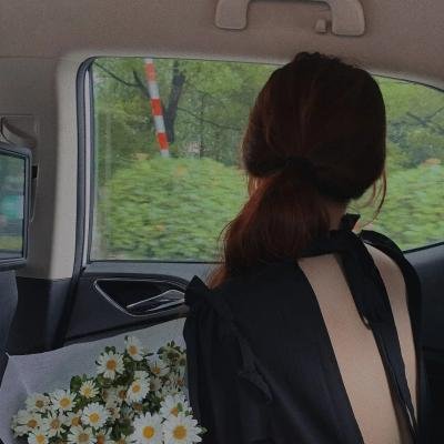 多伦多法律与秩序:犯罪倾向